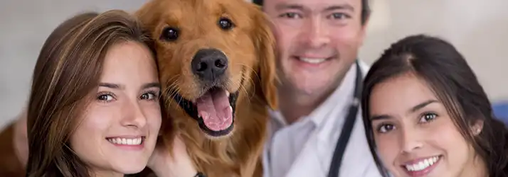 Animal Chiropractic Care in St Cloud FL